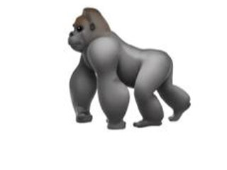 Primate78