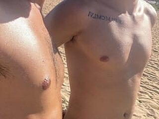 Lico Dotado
