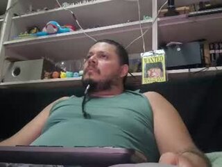 alfaalgo